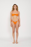 Bikini Bottom Aperol