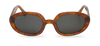 Gafas Cedar Solarte With Classical Lenses
