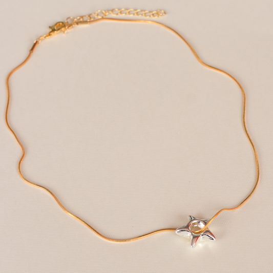 Collar Corto Brilli