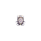 Broche Escarabajo Delerio Anka Amatista