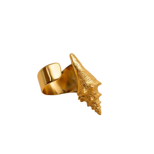 Anillo Playa