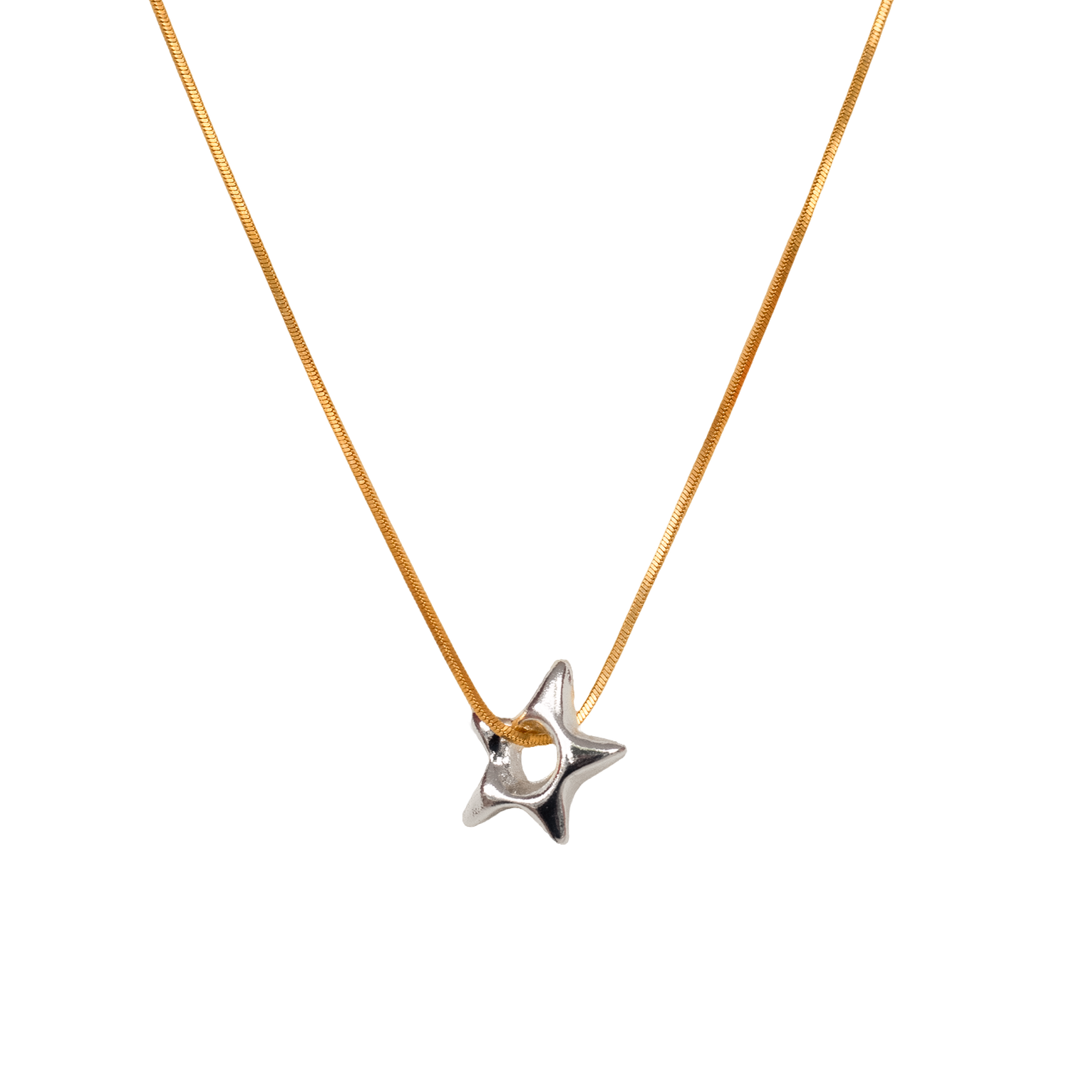 Pajarolimon Accesorios
