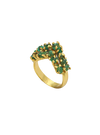 Anillo Victoria